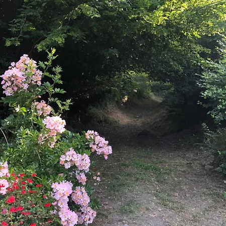 Le Refuge Du Cap * Cescau (Ariege)